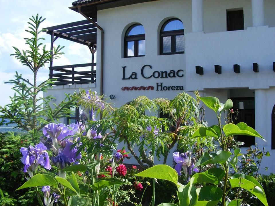 Гостевой дом La Conac Хорезу-4